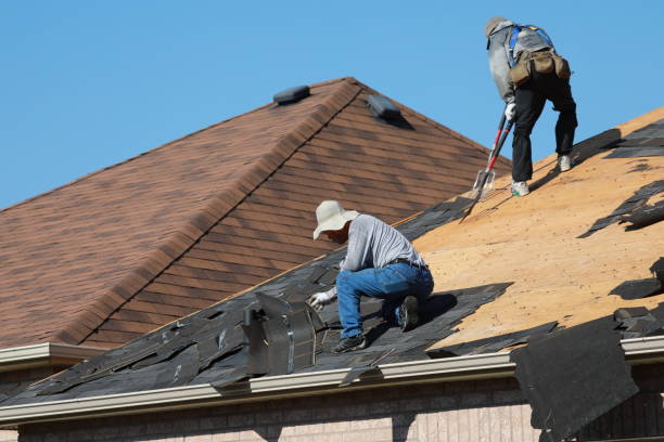 Best Gutter Installation and Repair  in Dalhart, TX