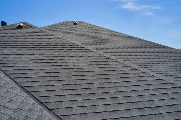 Best Solar Panel Roofing Installation  in Dalhart, TX